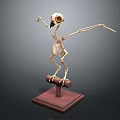Anatomical Bird Skeleton 3D Model Display On Wooden Base Stand Structure 3d model