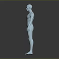 Silver Human Body Model Displaying Muscles And Hairless Anatomical Structure Features 3d model