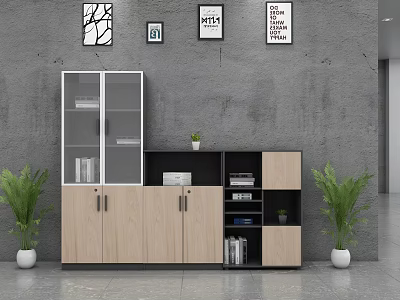 Modern Wooden File Cabinet With Glass Doors Gray Wall And Potted Plants 3d model