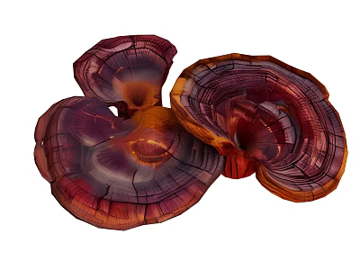 Vibrant Purple Orange Ganoderma Mushrooms With Textured Caps And Organic Structure 3d model