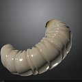 Creamy White Curved Caterpillar With Segmented Body On Dark Background
