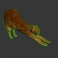 Orange Cat Stretching On Dark Surface With Smooth Fur And Reflection 3d model