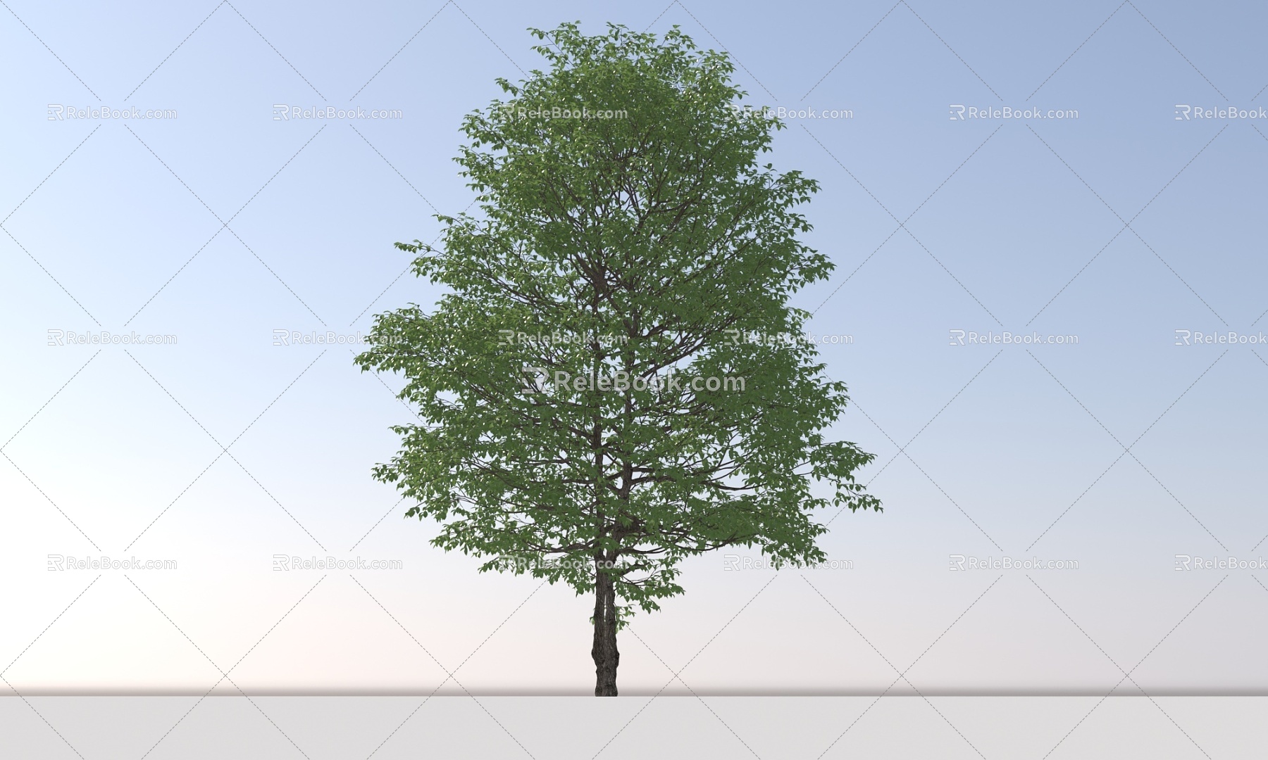 Landscape Arbor Tree 3d model