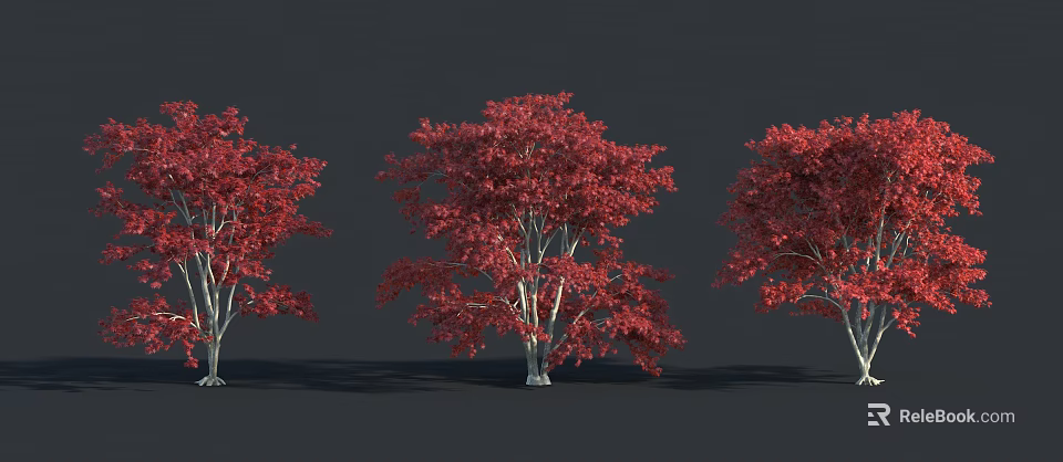 Three Trees With Red Leaves And White Trunks Against Dark Background 3d model 