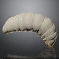 White Segmented Larva With Small Spines On Dark Reflective Surface