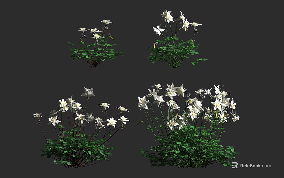 White Flowers With Green Leaves In Various Plant Clusters On Dark Backdrop 3d model 