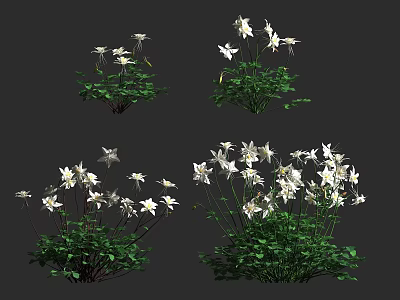White Flowers With Green Leaves In Various Plant Clusters On Dark Backdrop 3d model