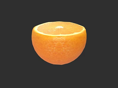 Detailed Botanical Illustration of Sliced Orange with Juicy Segments on Black Background 3d model