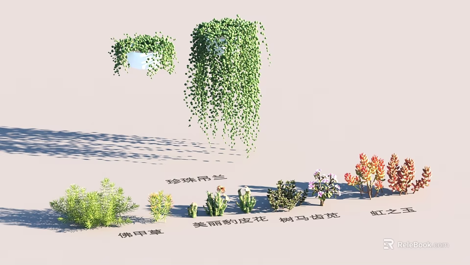 Garden Landscape Design With Hanging Green Plants And Various Small Succulents 3d model 