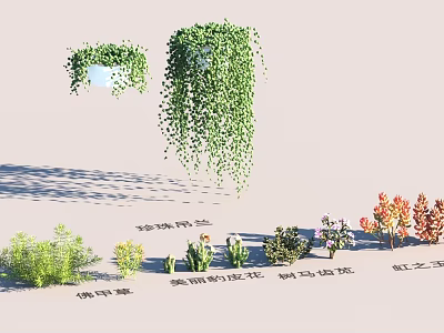 Garden Landscape Design With Hanging Green Plants And Various Small Succulents 3d model
