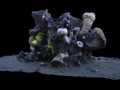 modern reef 3d model modern reef 3d model