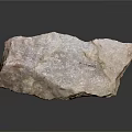 Petrified Stone With Natural Texture Rough Surface And Geological Specimen
