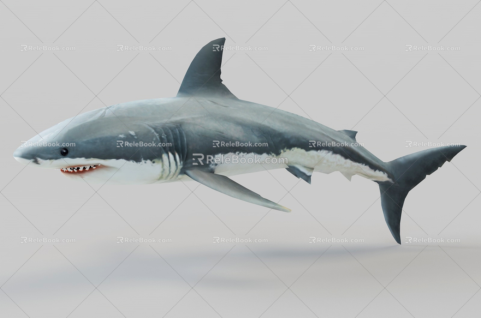 Shark 3d model