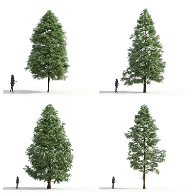 Tall Green Arbor With Lush Foliage And Person Walking Near Outdoor Scene 3d model