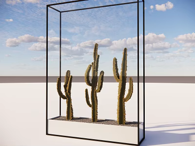 Cactus Potted Plants in Black Frame Glass Container with Small Pebbles and Blue Sky Background 3d model