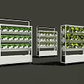 Vertical Farming Agricultural Equipment with Multi Tier Shelves for Growing Fresh Leafy Greens