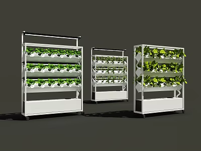 Vertical Farming Agricultural Equipment with Multi Tier Shelves for Growing Fresh Leafy Greens 3d model