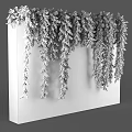 Lush Green Vines Hanging On Indoor White Concrete Wall Decoration