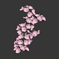 Beautiful Pink Flowers On Curved Branch With Dark Background And Reflection
