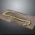 Detailed Snake Skeleton Exhibit Placed on a Brown Wooden Board Surface