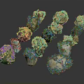 Green Plants Growing On Various Shaped Stones With Diverse Sizes And Textures