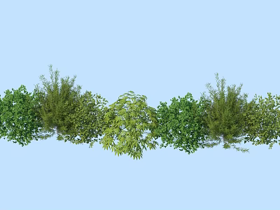 Various Types of Green Shrubs Arranged in a Row Against Light Blue Background 3d model
