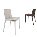 Modern Dining Chairs With White and Dark Brown Designs for Home Dining Room