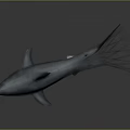 Realistic Shark Model With Open Mouth Sharp Teeth Gray And White Body And Reflective Surface 3d model