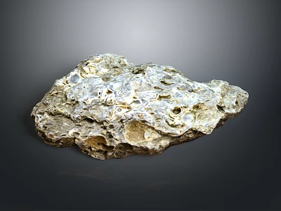 Rustic Wood Stone Material With Natural Rough Texture And Porous Surface 3d model