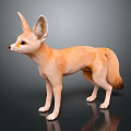 Fennec Fox With Large Ears And Light Brown Fur Standing On Dark Background