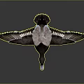 Detailed Duck with Spreading Wings Dark and White Feathers Yellow Eyes White Beak and Legs