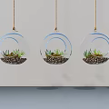 Three Transparent Glass Spherical Hanging Planters With Green Plants And Soil For Wall Decor