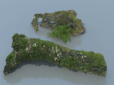 Natural Hinged Door Design With Green Moss White Flowers Branch Like Elements And Fern 3d model