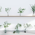Different Glass Vases Holding Natural Greenery Arranged On Wooden Shelf Against White Background