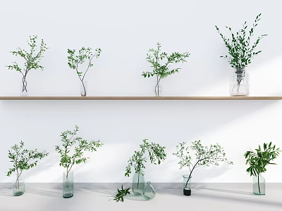 Different Glass Vases Holding Natural Greenery Arranged On Wooden Shelf Against White Background 3d model