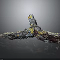 Colorful Artistic Plant Sculpture With Irregular Branches Various Colors And Dark Background Reflection