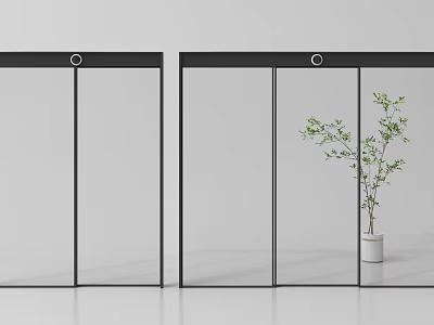 Modern Glass Doors With Black Frames And Green Plant In White Pot 3d model
