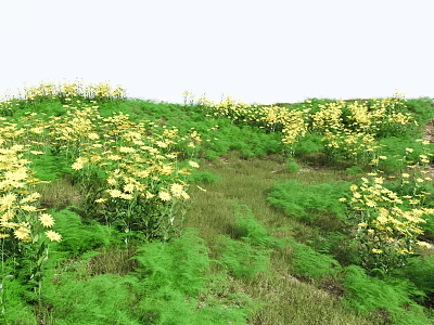 Bright Yellow Flowers and Lush Green Grass in Natural Meadow Landscape 3d model