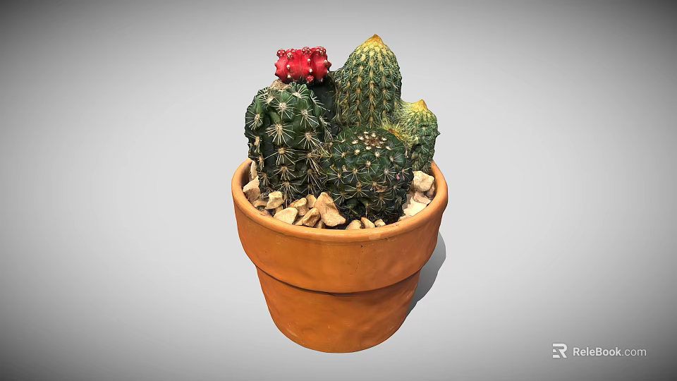 Potted Cactus With Multiple Green Cacti And Red Bloom In Terracotta Pot With Pebbles 3d model 