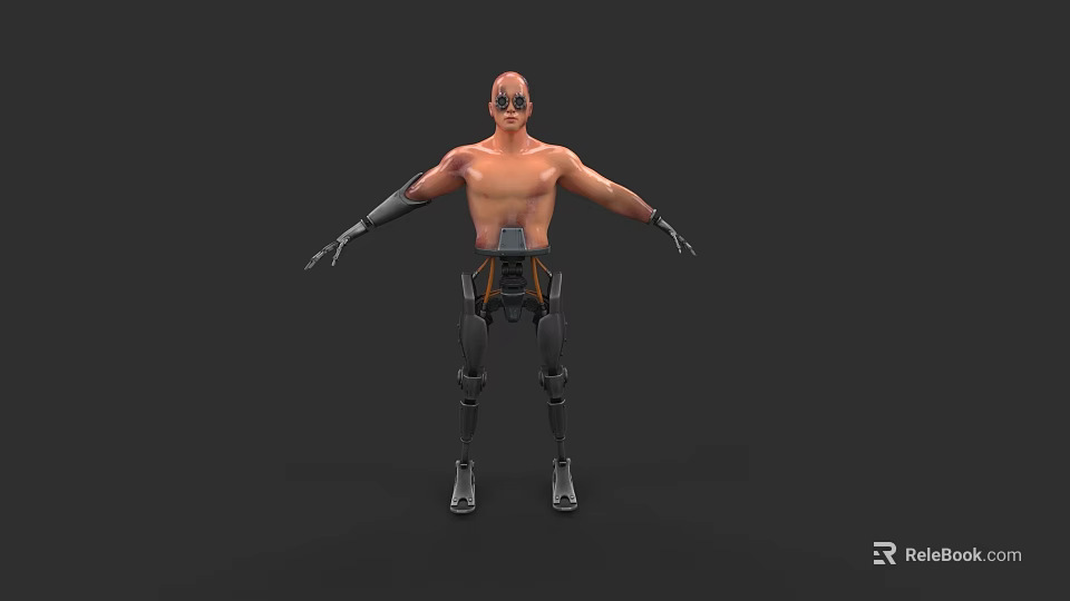 Game Movie Cyborg Character With Human Torso And Mechanical Arms Legs 3d model 