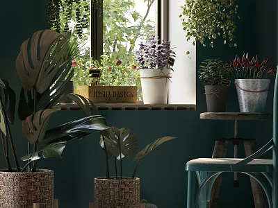 Indoor Potted Plants on Windowsill with Various Flower Pots and Green Wall 3d model