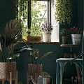 Indoor Potted Plants on Windowsill with Various Flower Pots and Green Wall