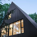 Modern Detached House Nestled in Forest with Angled Black Roofs and Illuminated Windows