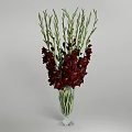 Pink Gladiolus Flowers In Clear Glass Vase With Green Stems On Light Gray Background