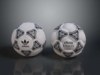 Household Items Two White Soccer Balls Featuring Black Patterns Adidas Logo And ERIVO ENICO Text 3d model