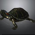Colorful Turtle Sculpture With Vibrant Striped Shell Red Accent Head And Detailed Limb Design