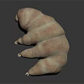 3D Rendered Tardigrade With Segmented Body Small Claws Light Brown On Dark Reflective Surface