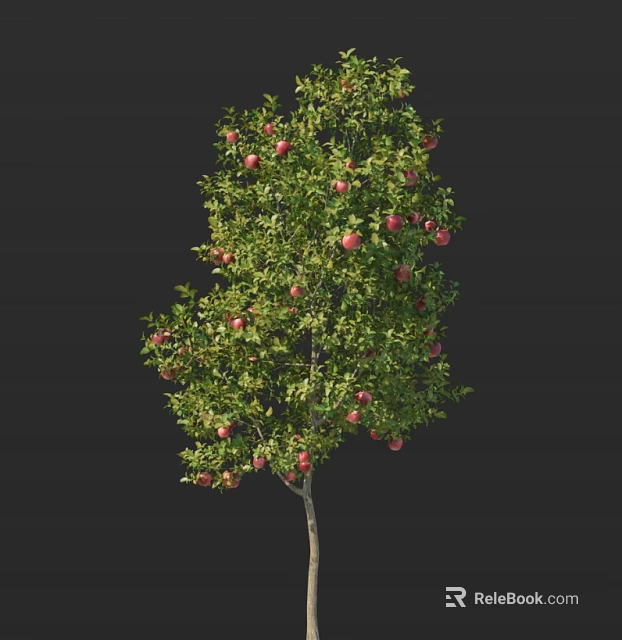 Lush Fruit Bearing Tree Laden With Abundant Green Leaves And Juicy Red Apples 3d model 