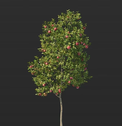 Lush Fruit Bearing Tree Laden With Abundant Green Leaves And Juicy Red Apples 3d model