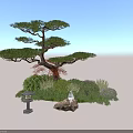 Bush Garden Display With Pine Tree Stone Lantern Rock And Green Plants